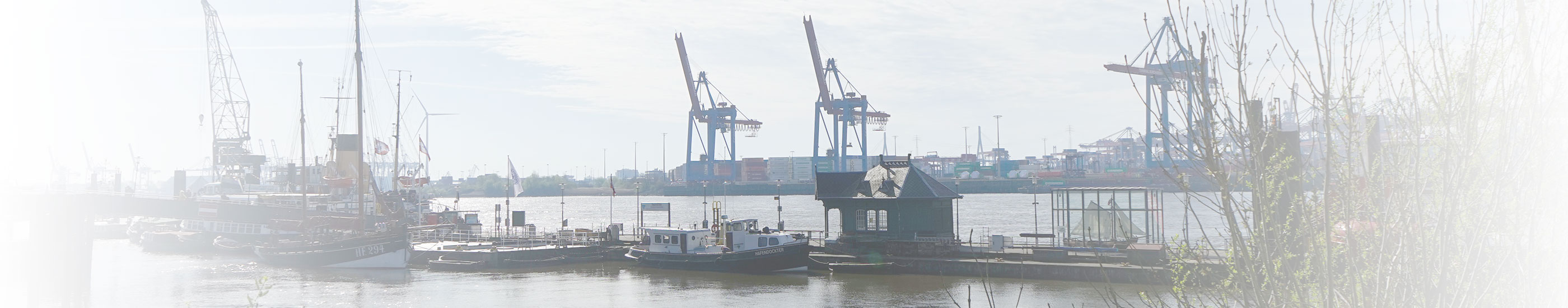 Büro für Lektorate Dieter Schlichting, Hamburg